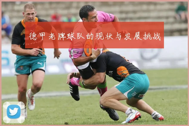 德甲老牌球队的现状与发展挑战