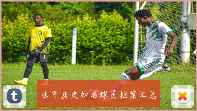 法甲历史知名球员档案汇总