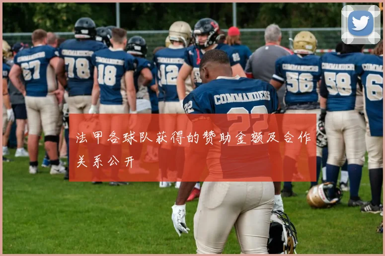 法甲各球队获得的赞助金额及合作关系公开