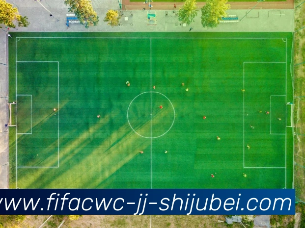 世界杯直播平台生态图